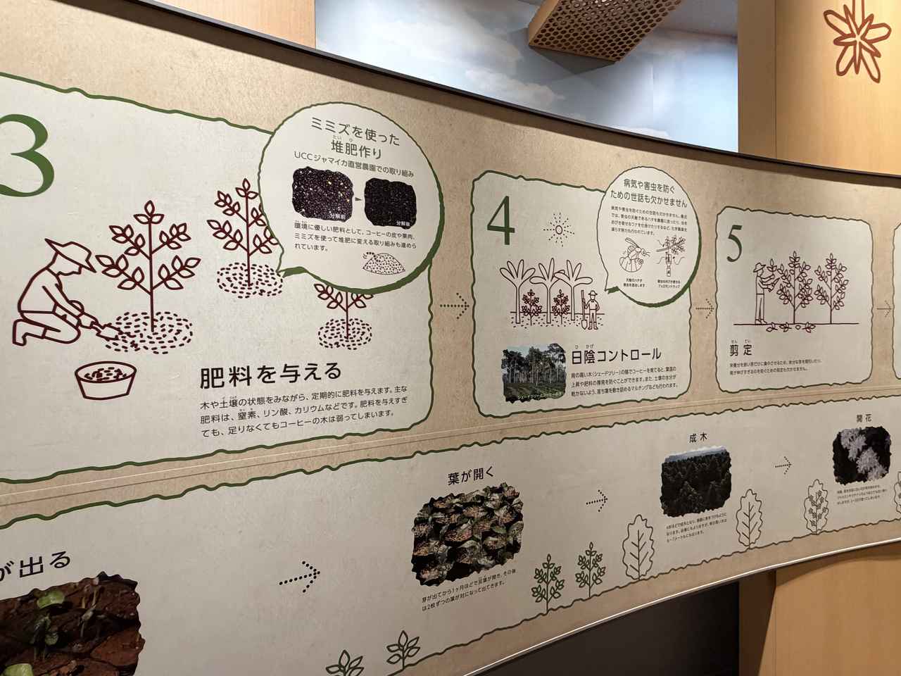 画像6: 6年ぶりに待望の再開♡進化した「UCCコーヒー博物館」はまるで“コーヒーのテーマパーク”!館内展示の全貌を公開