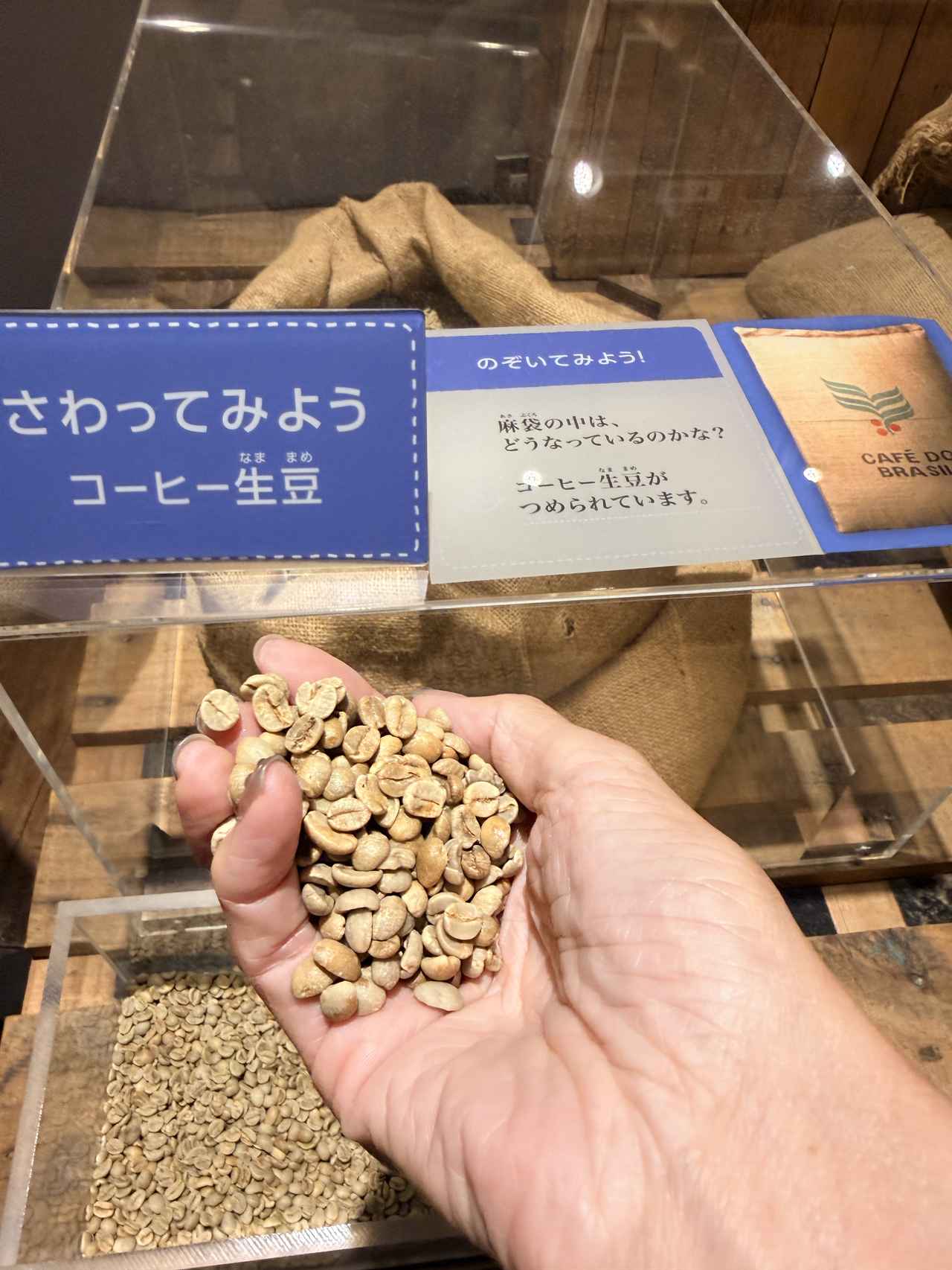 画像8: 6年ぶりに待望の再開♡進化した「UCCコーヒー博物館」はまるで“コーヒーのテーマパーク”!館内展示の全貌を公開