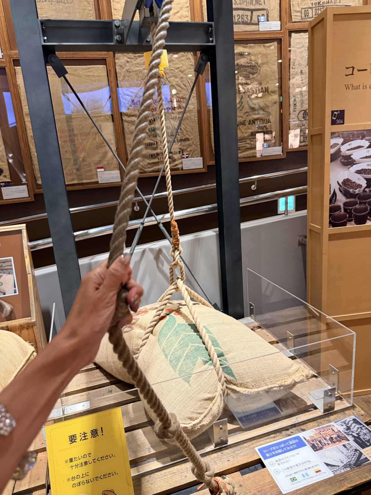 画像9: 6年ぶりに待望の再開♡進化した「UCCコーヒー博物館」はまるで“コーヒーのテーマパーク”!館内展示の全貌を公開