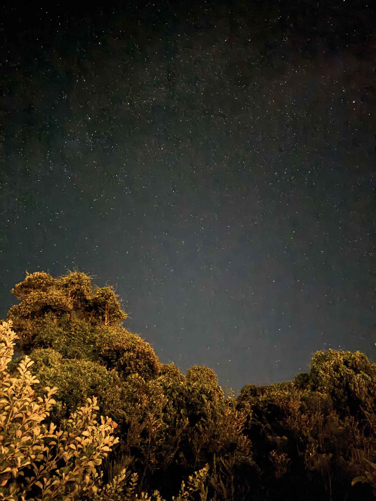 画像1: 夜空に広がる天然のプラネタリウム