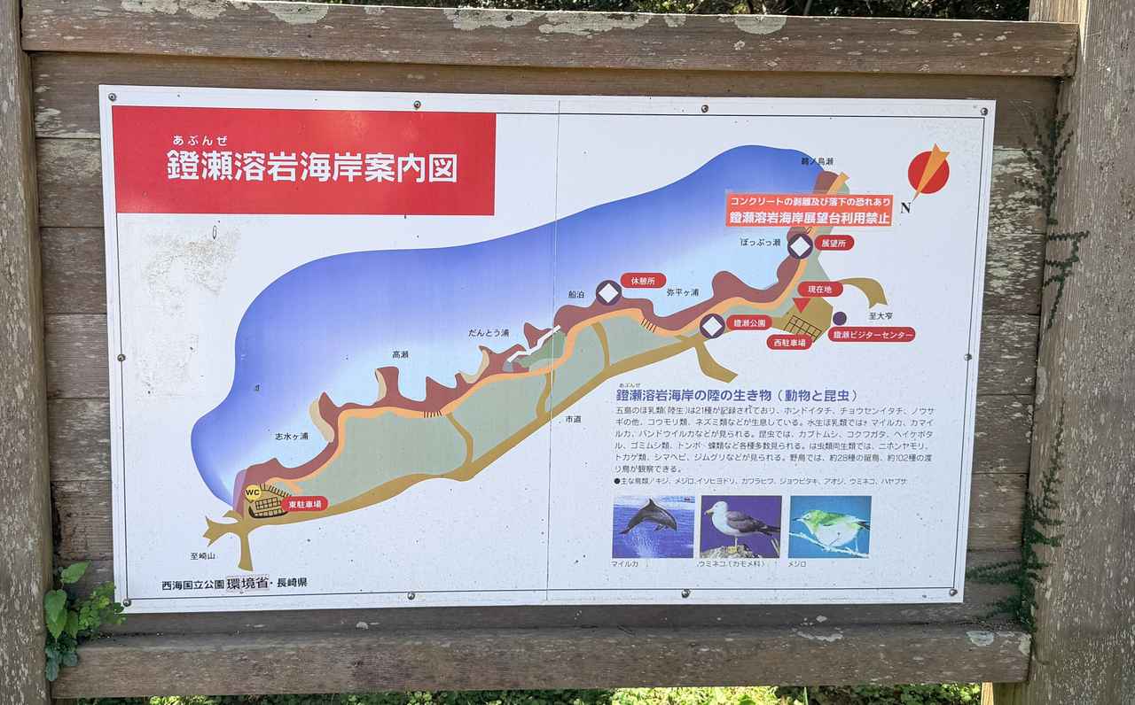 画像3: 朝の散策で地球の息吹を感じる「鐙瀬溶岩海岸」お散歩タイム