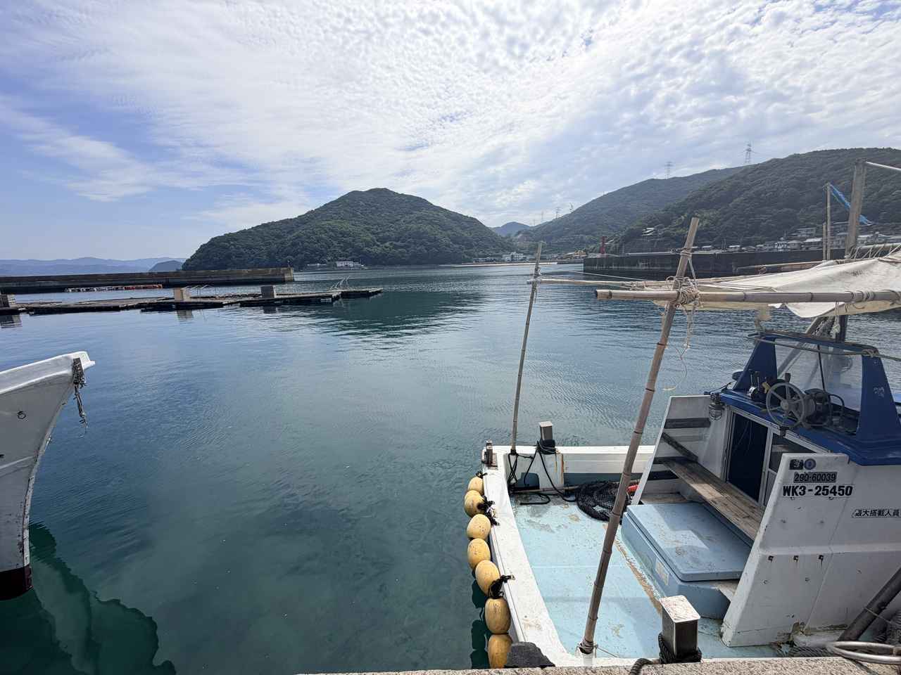 画像: テクノロジーで未来の魚を守る「KURAおさかなファーム」の挑戦