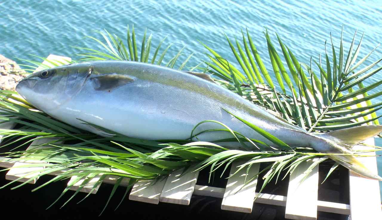 画像2: www.kurasushi.co.jp