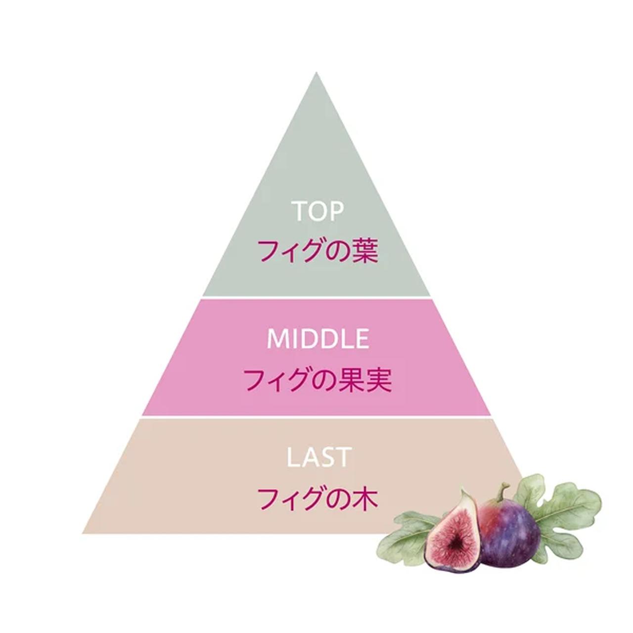 画像: 夏の紫外線ケア♡限定「フィグコレクション」で叶えるうるツヤ美髪【YOLU】