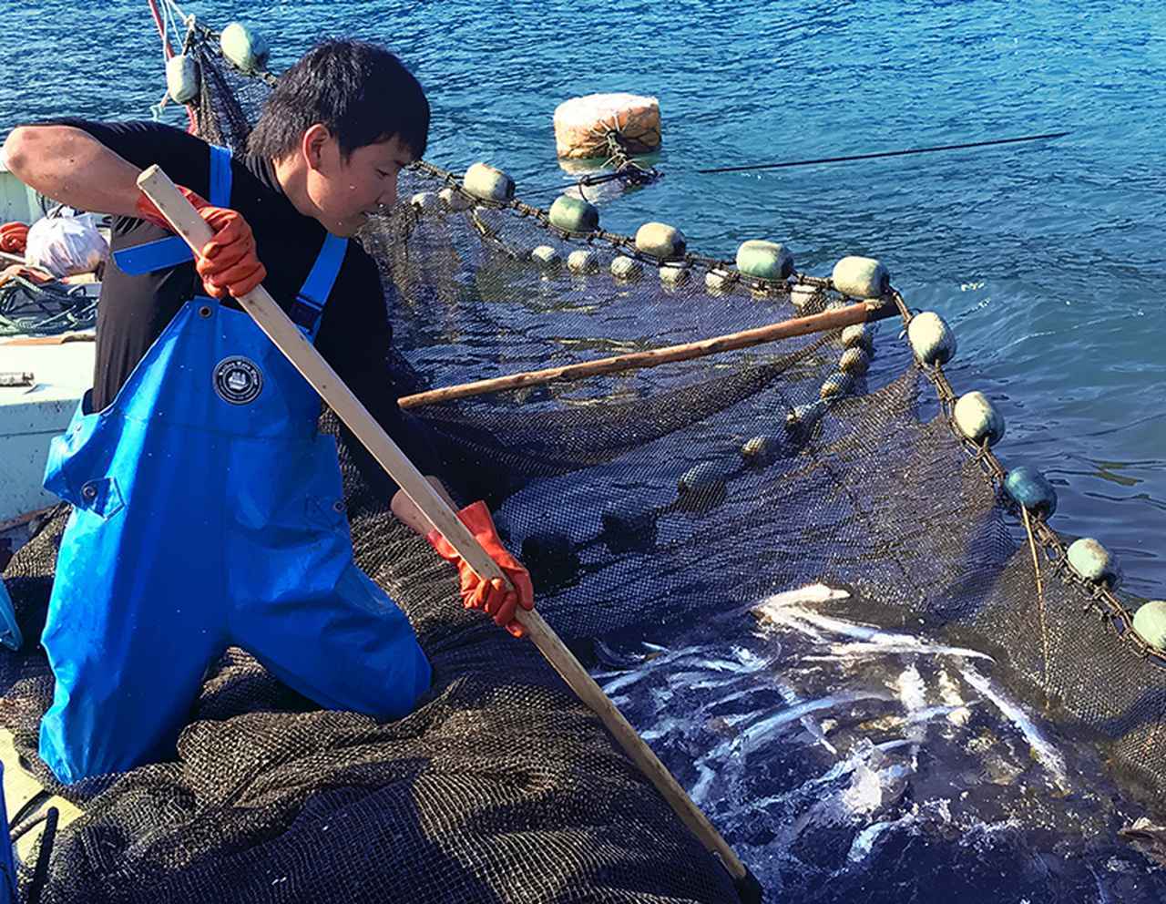 画像3: www.kurasushi.co.jp