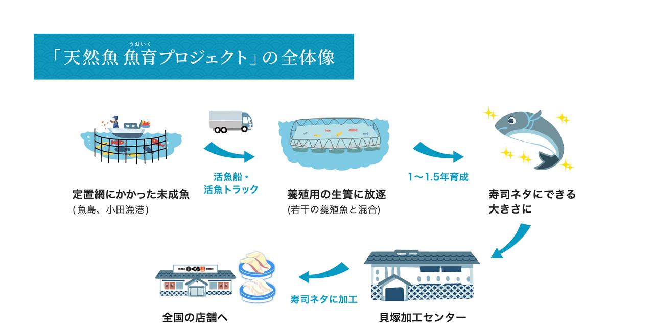 画像: 未来の海を守る「天然魚魚育プロジェクト」とは?持続可能な水産資源への挑戦