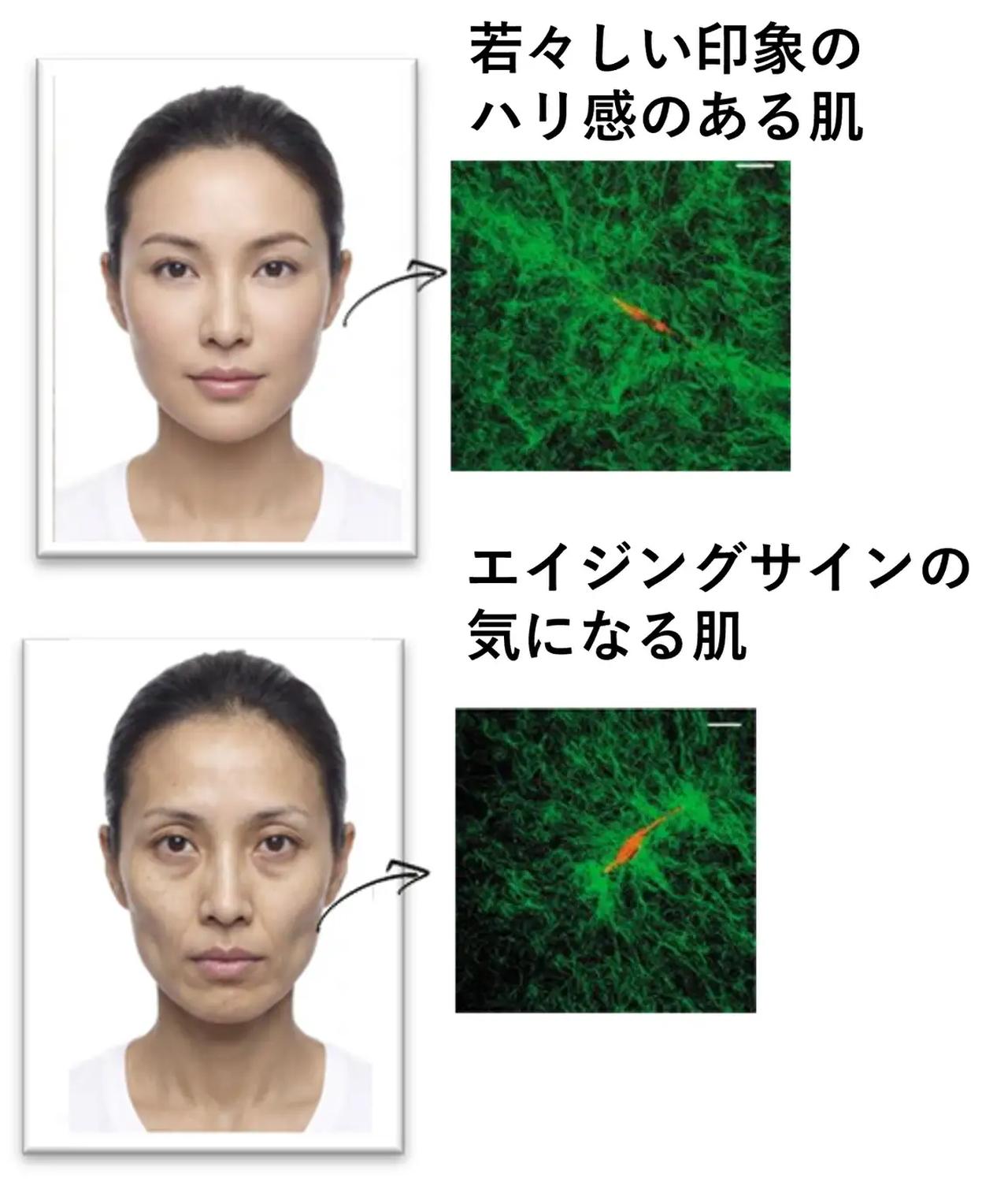 画像1: コラーゲンの常識が変わる♡【キールズ新美容液】3Dぷるツヤ肌へ導く先進美容液