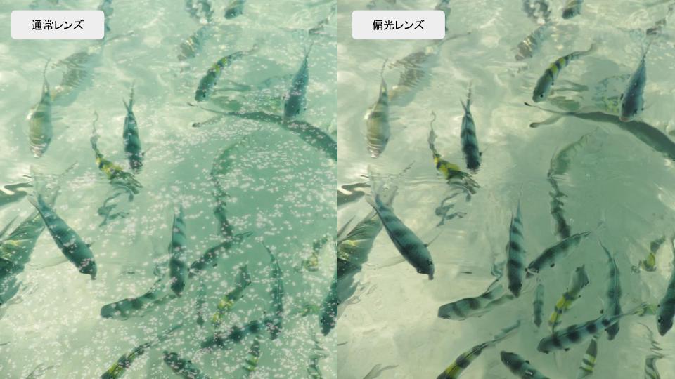 画像: 偏光レンズ