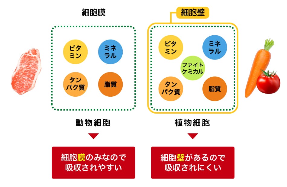 画像2: www.kagome.co.jp