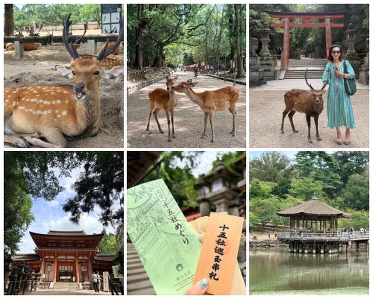 画像: フリータイムに奈良公園~春日大社~浮見堂まで足を延ばして奈良観光を満喫!