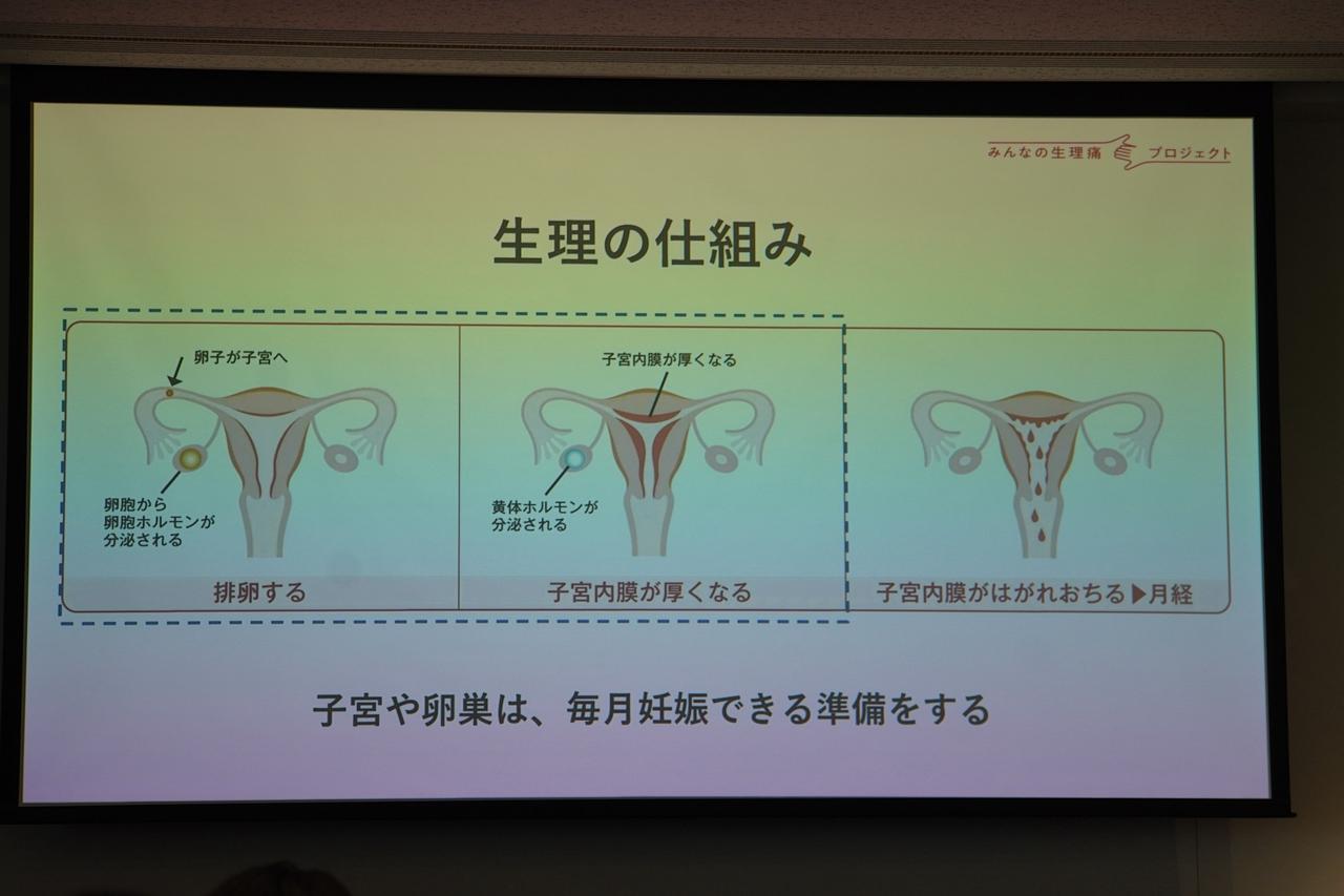 画像2: 生理（月経）の仕組みを改めてしっかりと知る