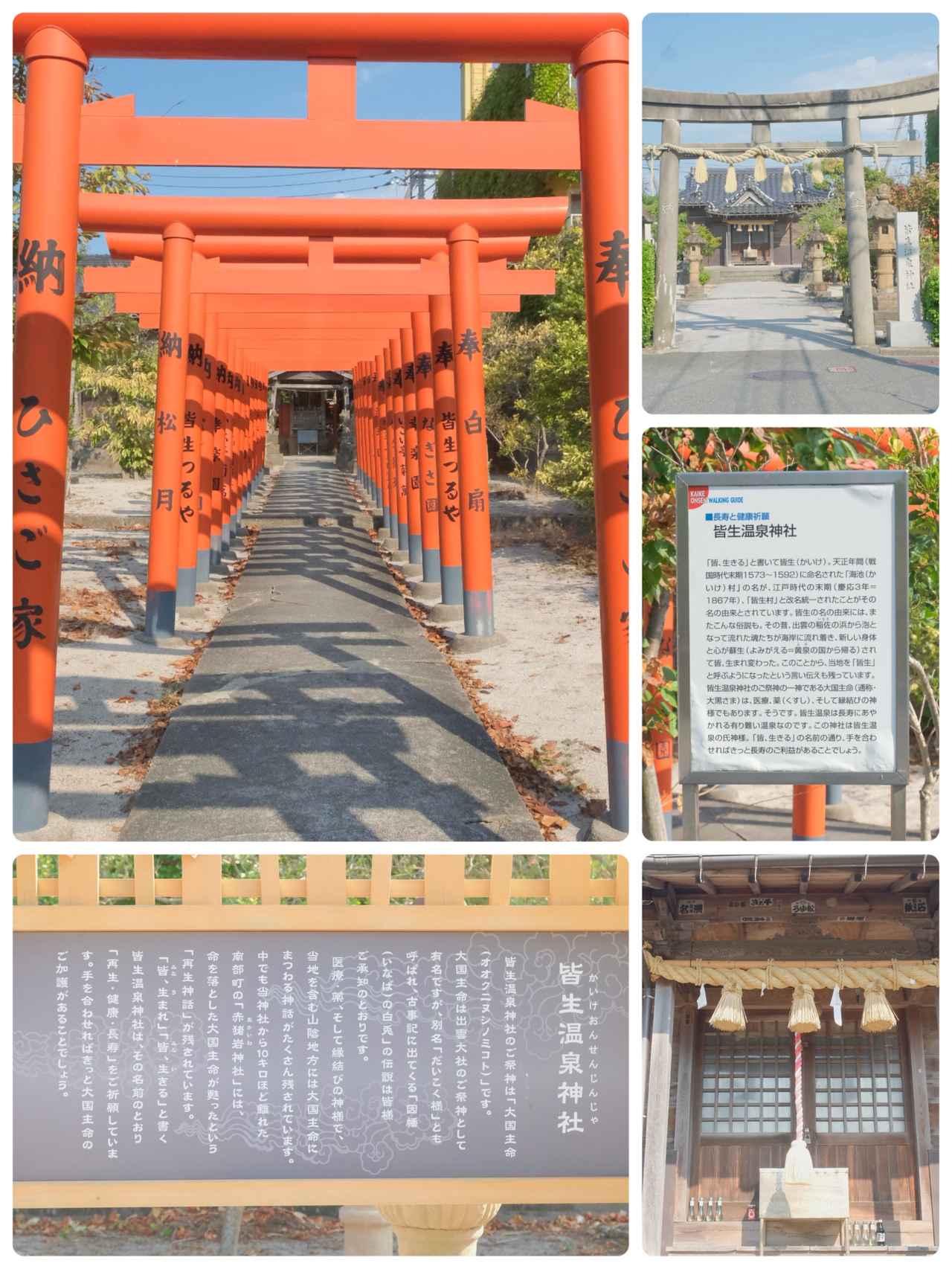 画像: ●皆生温泉神社