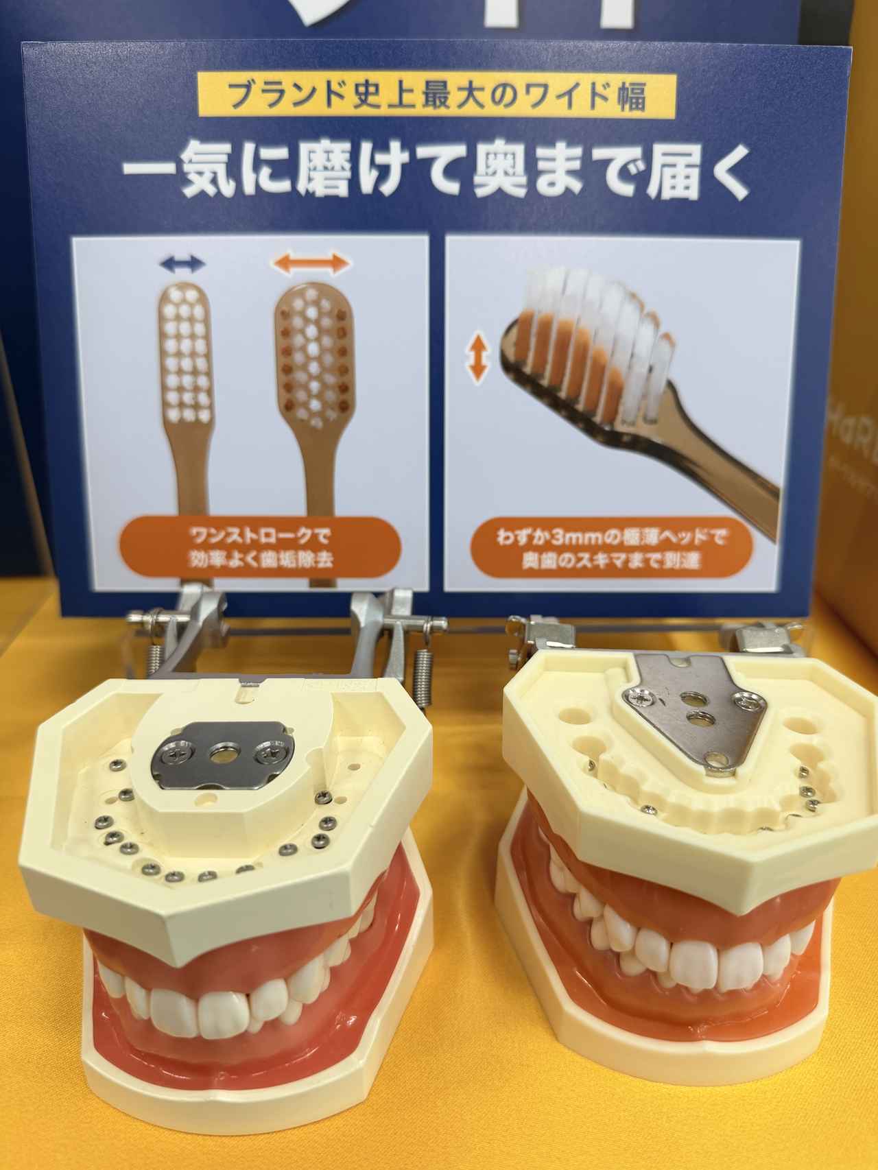 画像3: 短時間でもツルツル♡【奇跡の歯ブラシ】新登場のワイドタイプ「HaRENO 奇跡の歯ブラシ ワイド」で叶える時短×高効率ケア