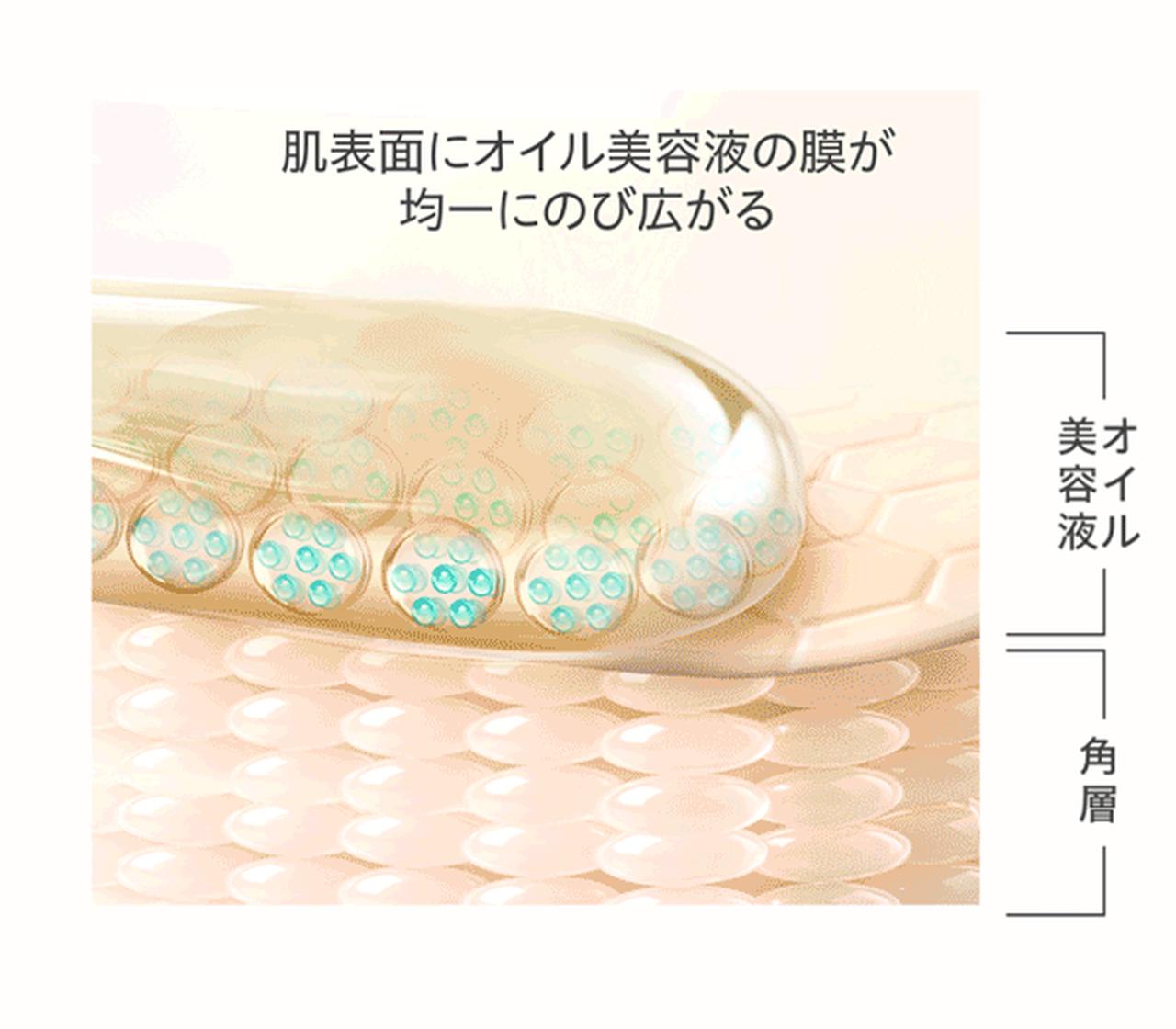 画像1: ヨーロッパの過酷な環境にも対応するプロ仕様の本格設計