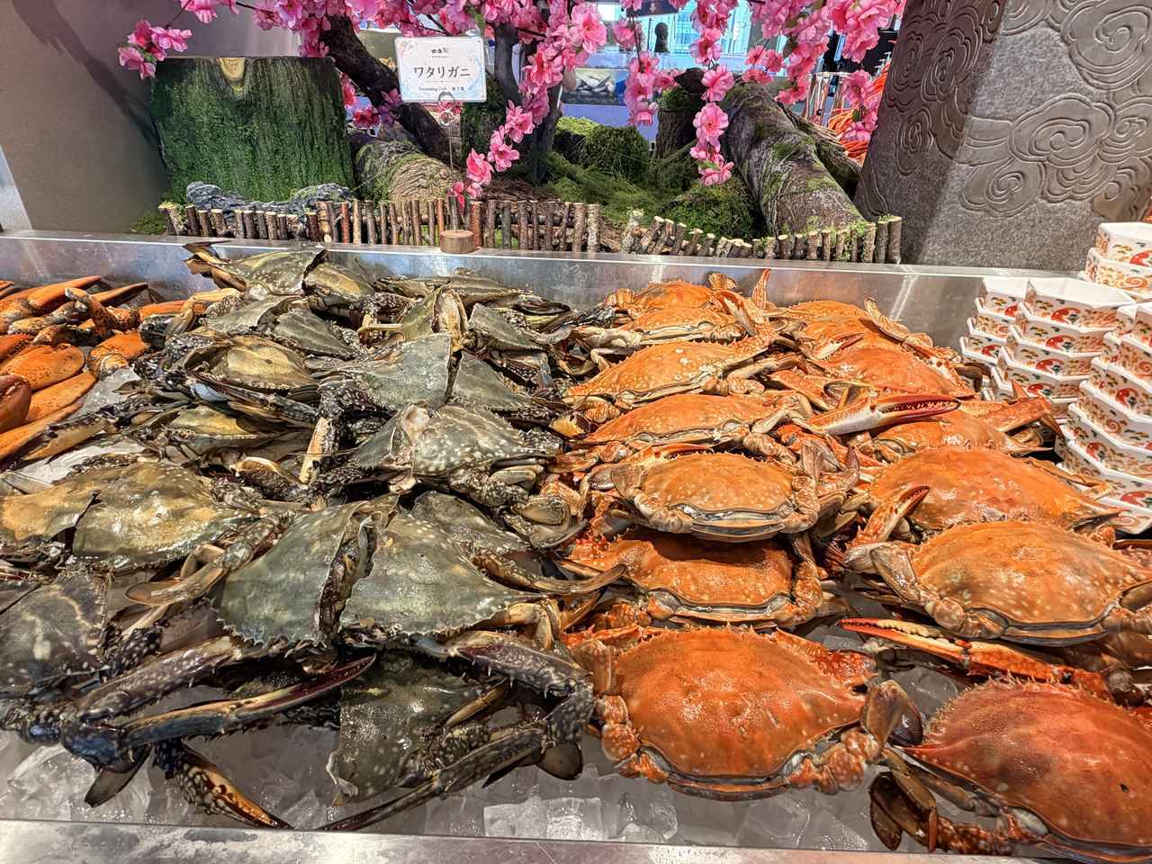 画像8: 銀座でタラバガニ・A5和牛・フグが食べ放題♡日本最大級の海鮮ビュッフェ「銀座四海」オープン