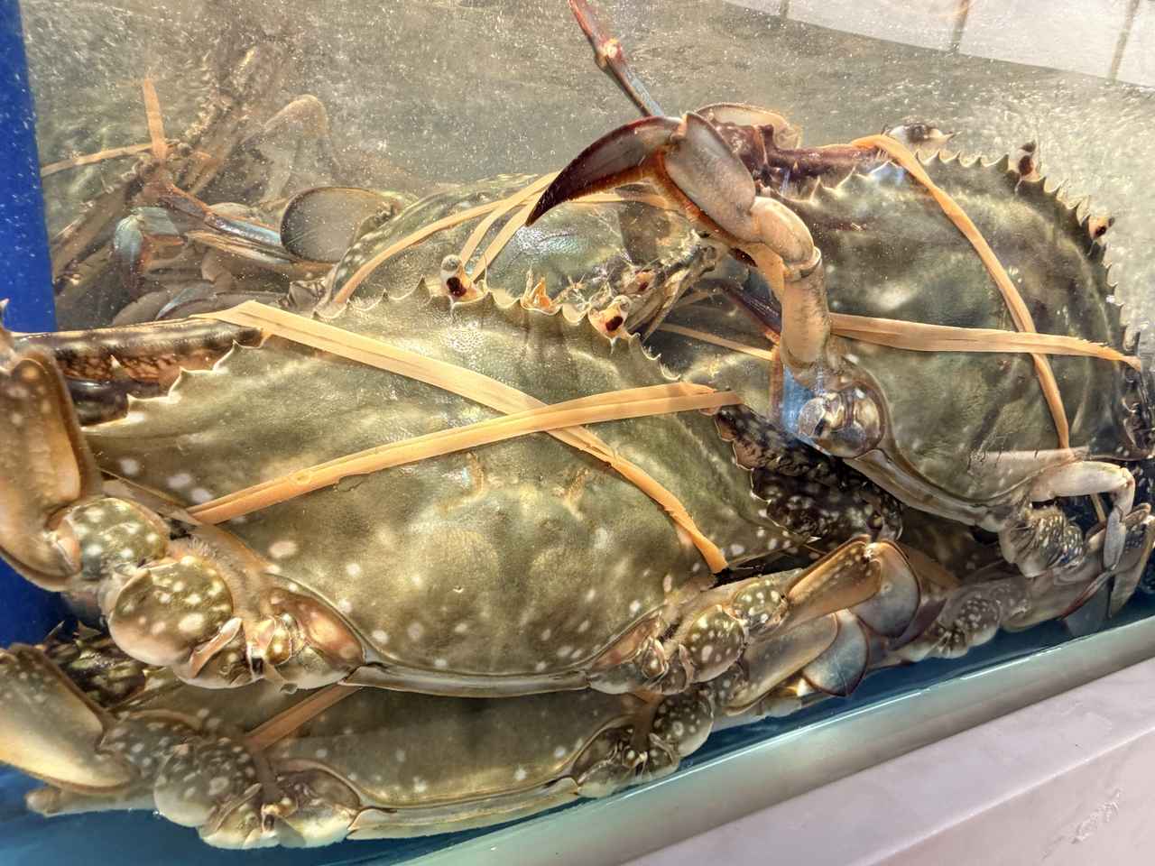 画像5: 銀座でタラバガニ・A5和牛・フグが食べ放題♡日本最大級の海鮮ビュッフェ「銀座四海」オープン