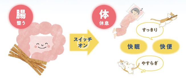 画像1: 眠りと腸に ダブルでアプローチ♡あじかん「ごぼう茶プリ ちょう快眠」で毎日すっきり健康習慣