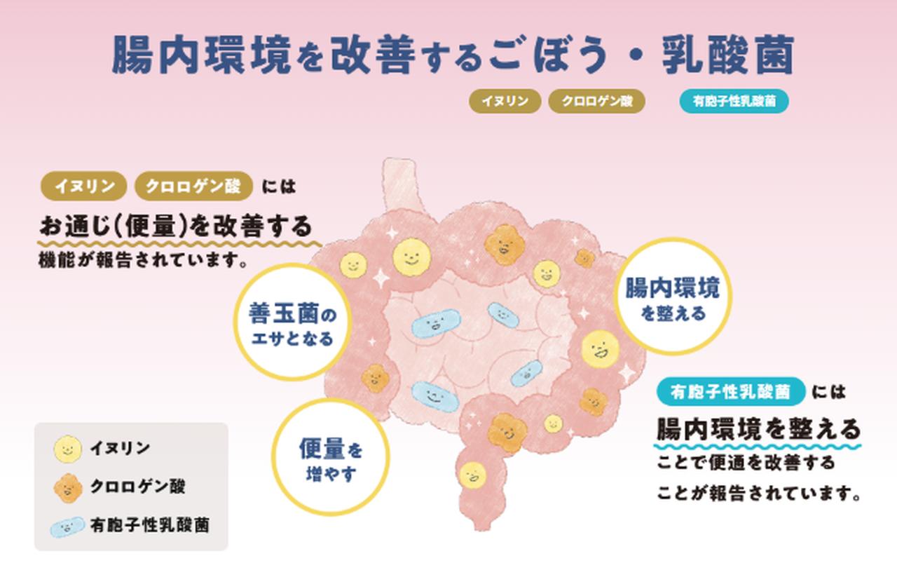 画像3: 眠りと腸に ダブルでアプローチ♡あじかん「ごぼう茶プリ ちょう快眠」で毎日すっきり健康習慣