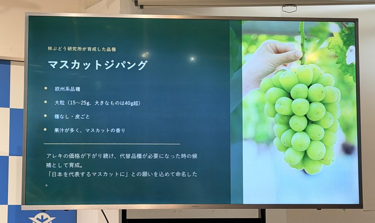画像2: 首都圏イベント＆新品種「マスカットジパング」にも注目