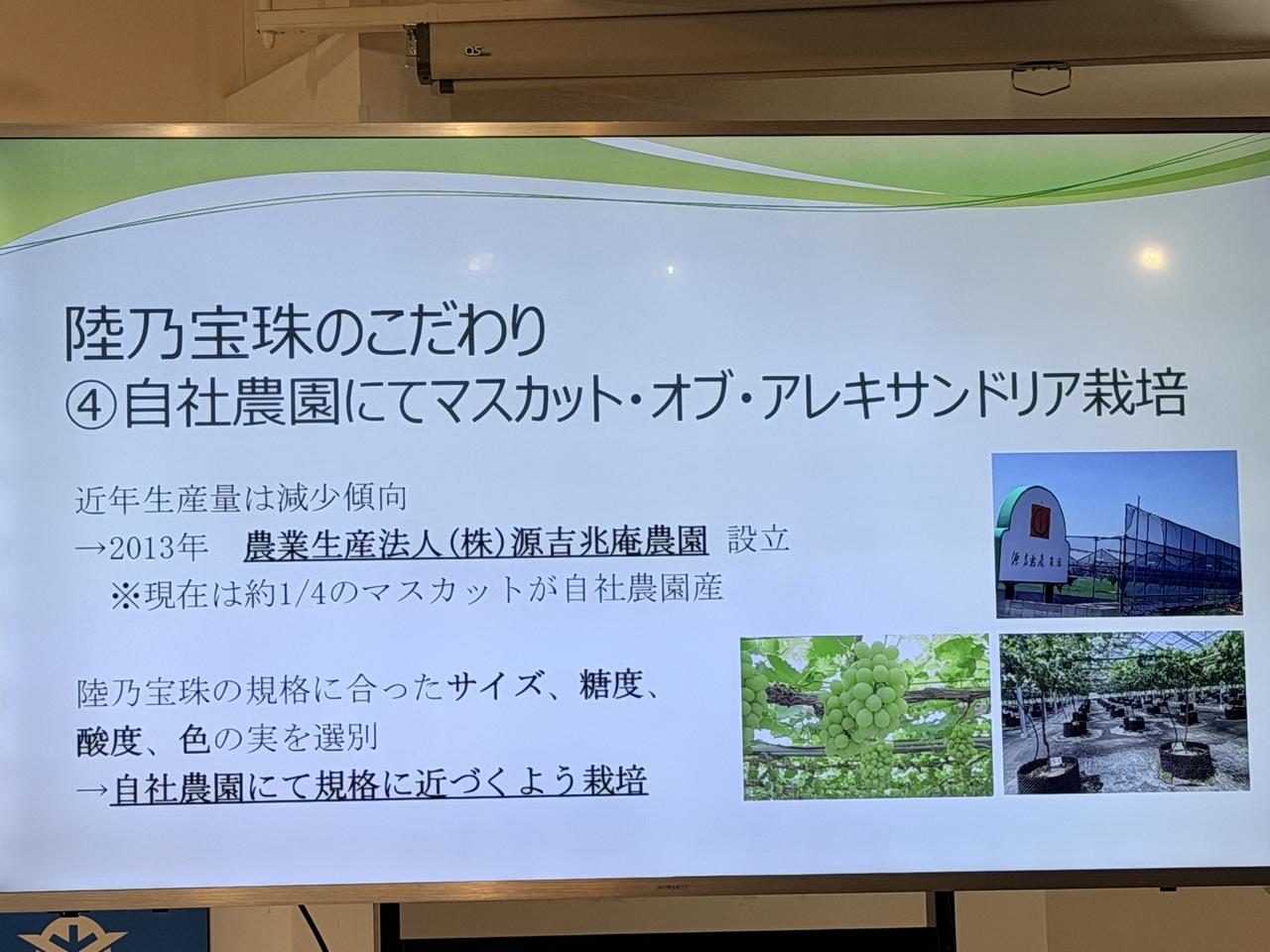 画像7: 【岡山ぶどう140年】緑の宝石「アレキ」が誘う極上スイーツと至高の果実体験