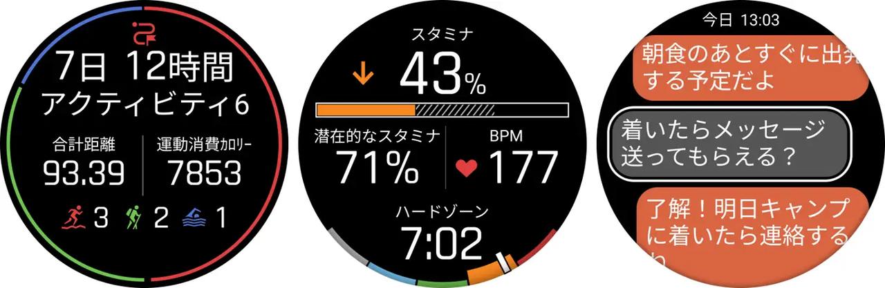 画像: 左から、Garmin Epic、スタミナゾーン、Garmin Messenger