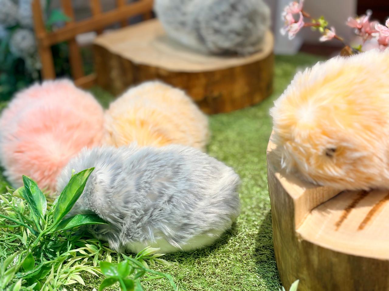 画像: いま話題の「モフリン」って知ってる？渋谷の期間限定POPUPで、究極のもふもふ体験してみた♡ - カワコレメディア