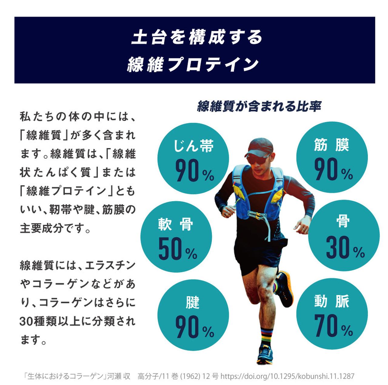 画像2: 伸ばすだけでは届かない!「線維質」に着目した新常識ケア