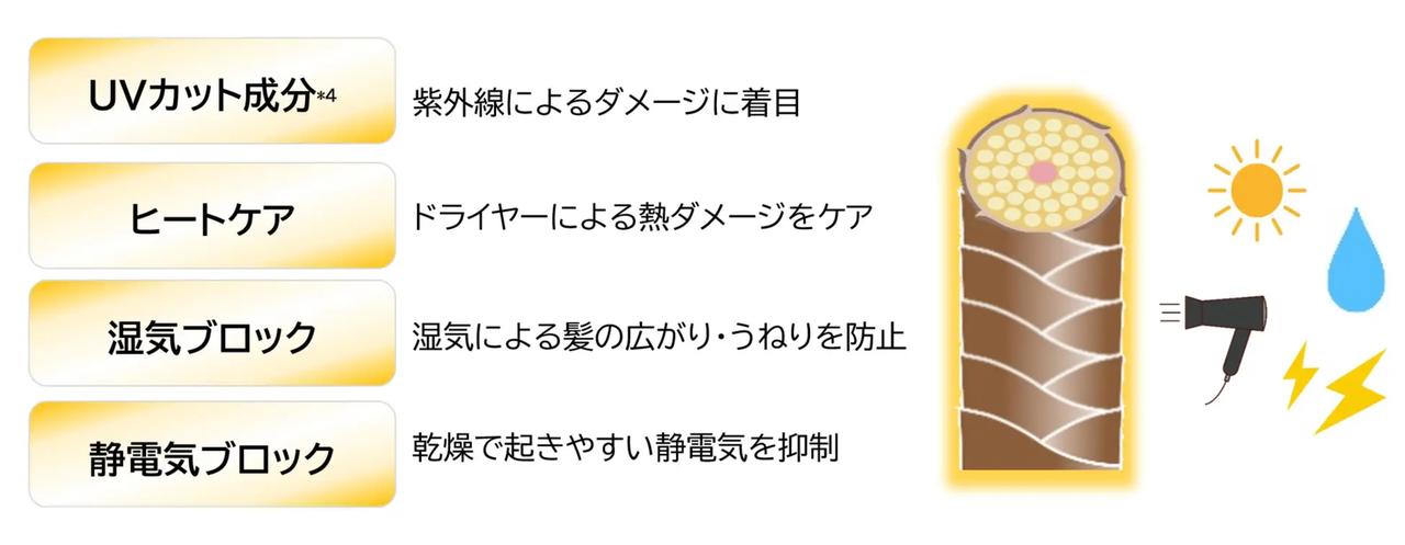 画像: 紫外線や熱から髪を守りダメージ&ぱや毛の要因にWアプローチ