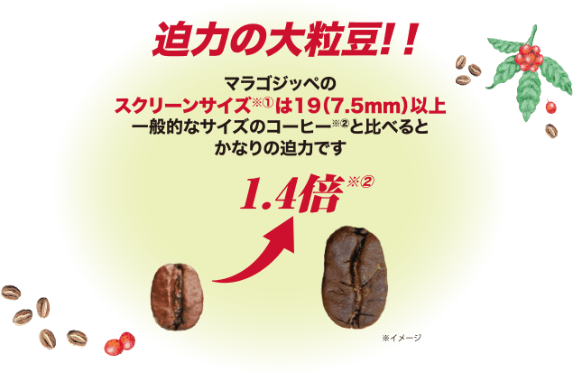 画像: ヒルスコーヒー商品紹介(レギュラーコーヒー:袋入り) l 日本ヒルスコーヒー株式会社 | HILLS BROS COFFEE JAPAN