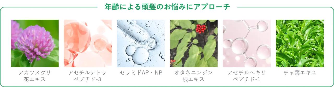 画像: 専門知見を結集!頭皮を健やかに導く厳選ケア成分