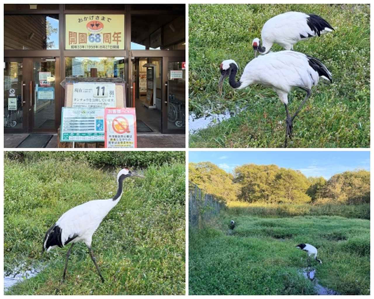 画像37: 絶景と昭和レトロに癒やされる♡釧路プリンスホテルで叶える大人の極上避暑旅