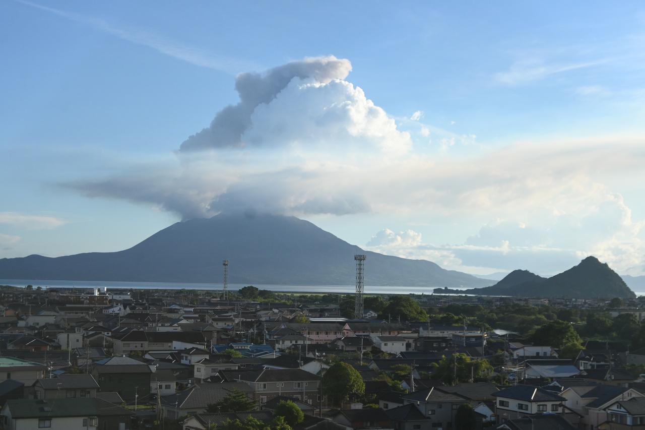 画像3: 木のぬくもりを感じる「おいしい空気と木心地ルーム」