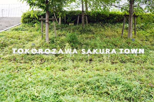 画像1: 【体験レポ】子ザメちゃんが所沢におでかけ!?サクラタウンで ”おいSEA・たのSEA”イベントが開催中