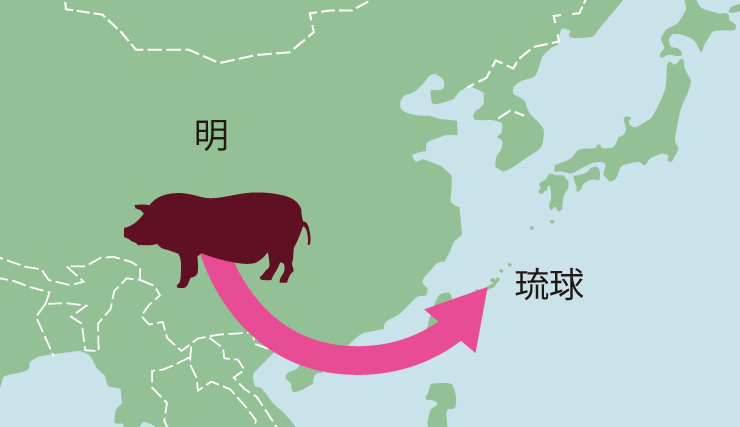 画像1: okinawa-agu.com