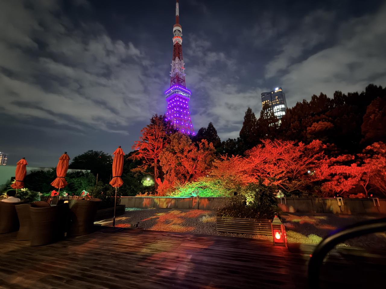 画像: 手が届きそうな迫力!絶景東京タワー✖秋色の幻想的な空間