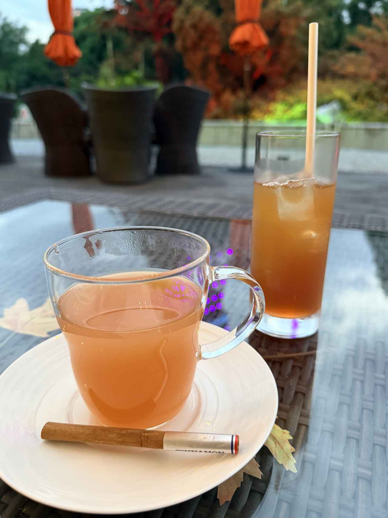 画像11: 【絶景×美食】東京タワーと紅葉のコラボ東京プリンスホテル「TOKYO RED TERRACE」で味わう特別なお月見&秋の夜長
