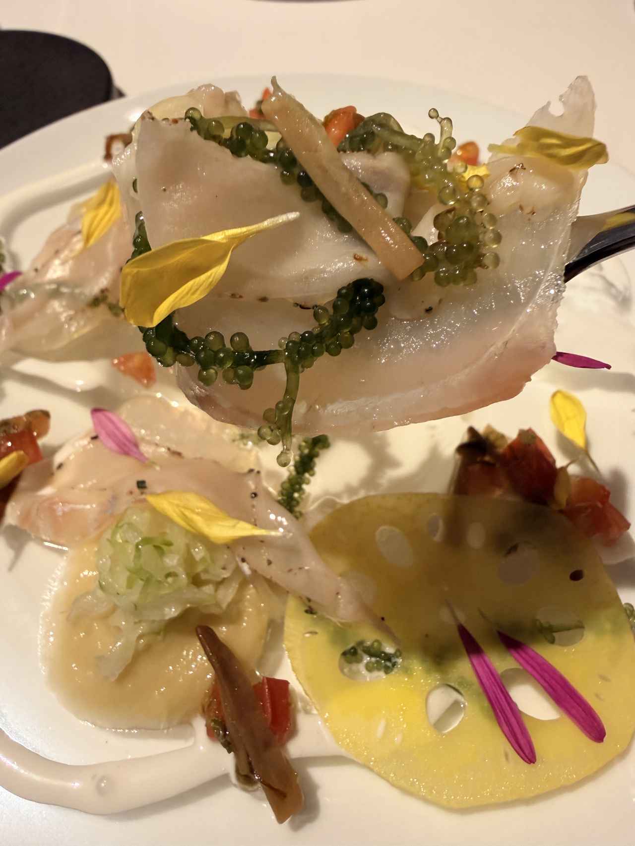 画像6: 【北参道 Convivio】沖縄アグー豚✖極上イタリアン♡今しか味わえない秋の限定フルコース