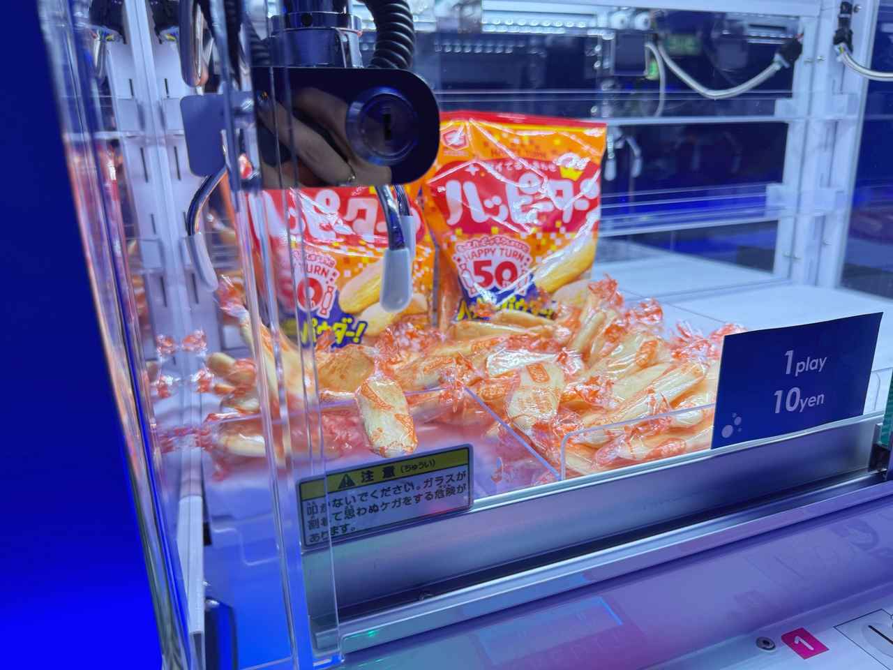 画像6: 海の世界へ没入!ワクワクが詰まった「うみのトンネル」