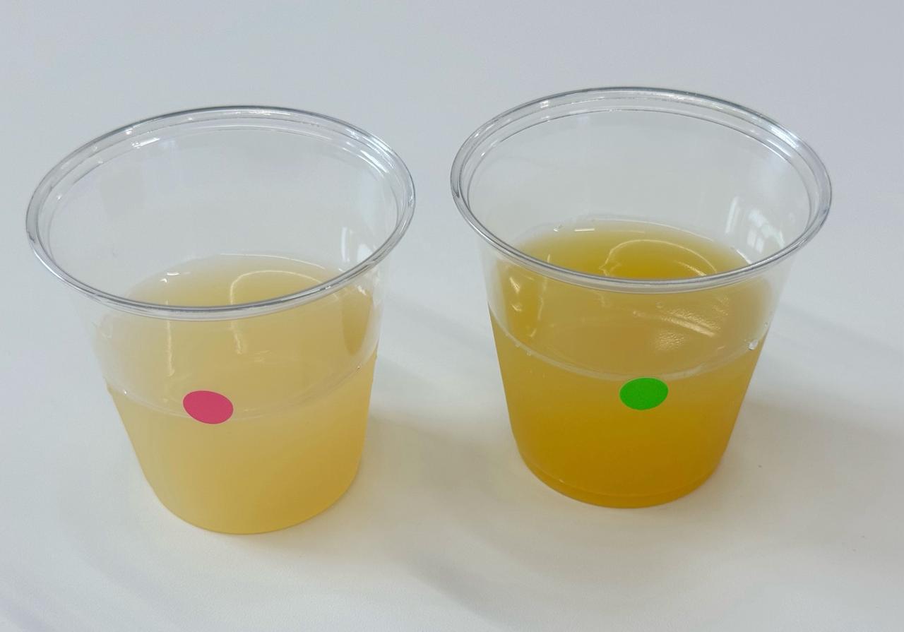 画像1: どっちが本物！？本物のグレープフルーツジュースと飲み比べ