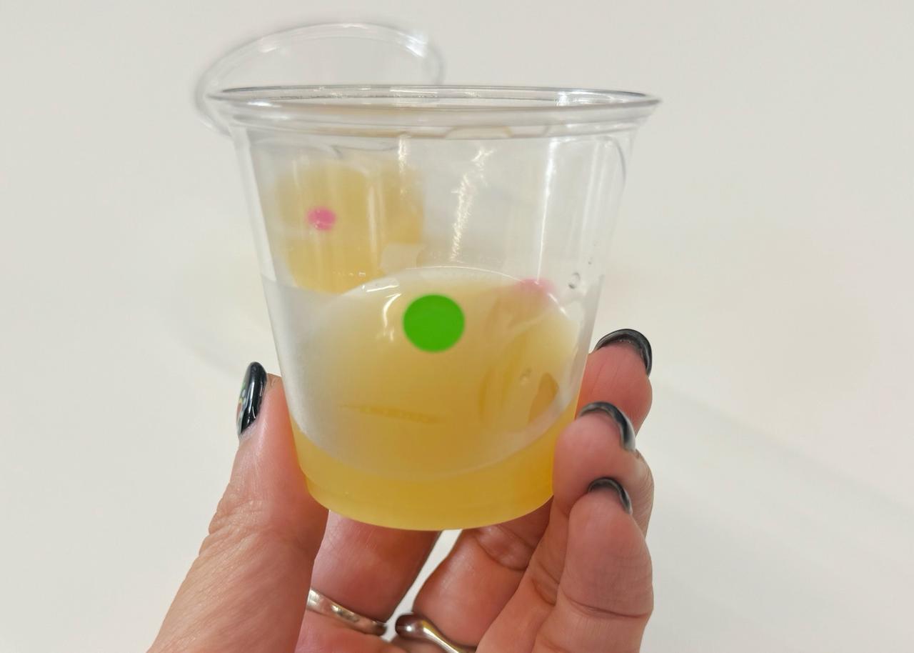 画像2: どっちが本物！？本物のグレープフルーツジュースと飲み比べ
