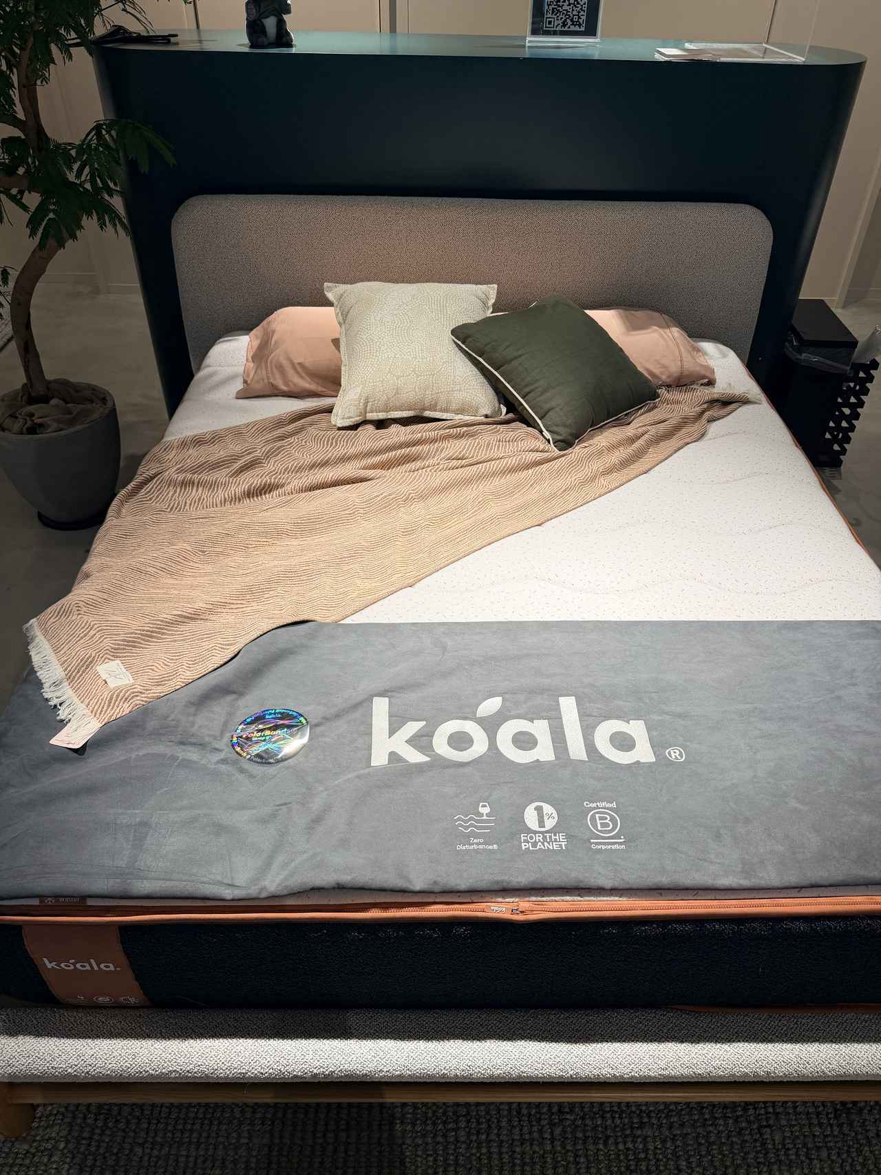 画像: 快適な眠りのカギは「睡眠温度」！コアラが提案する新常識