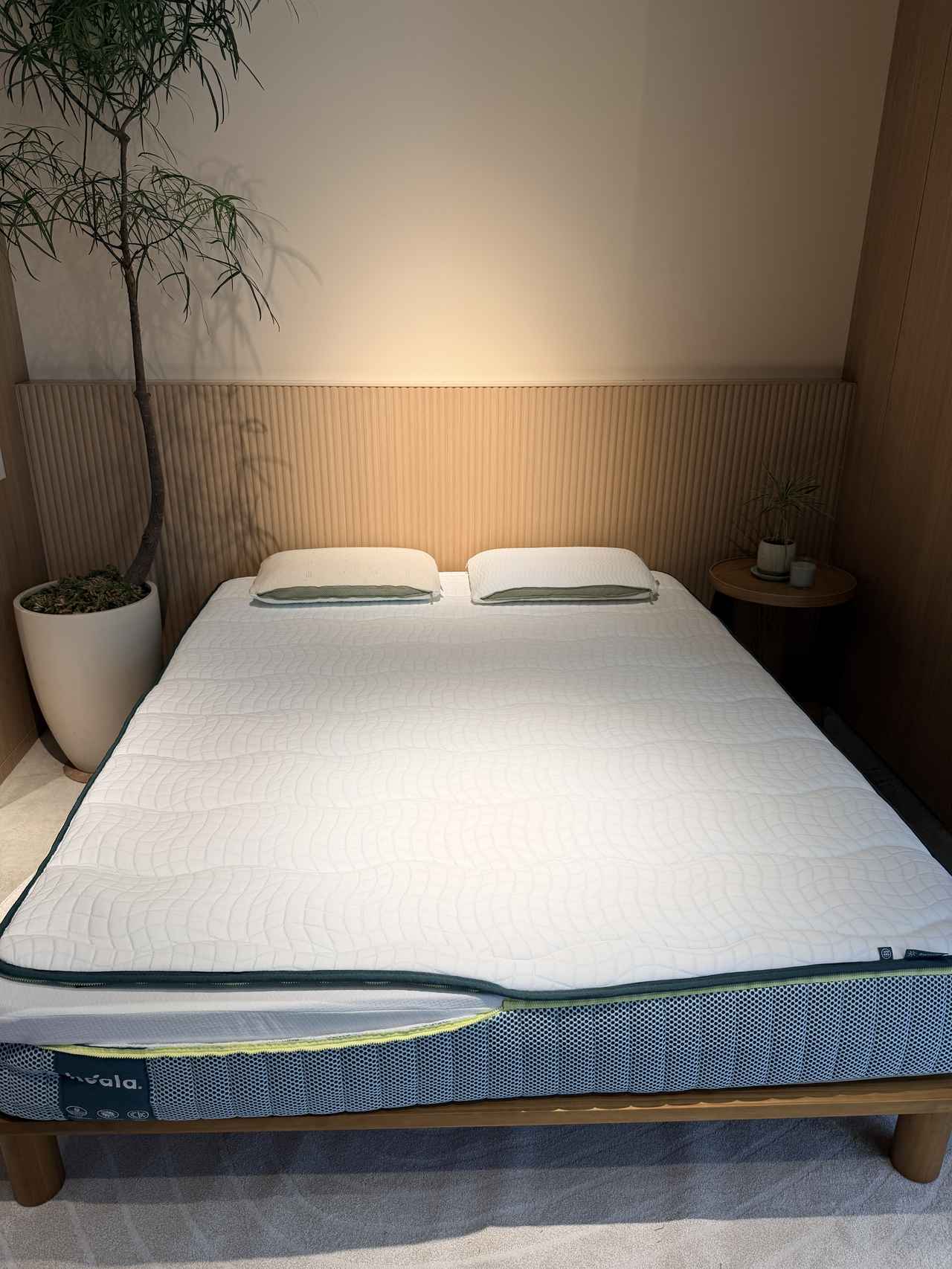 画像: 「コアラマットレス PLUS [2nd Gen]」（シングル）99,900円（税込）〜