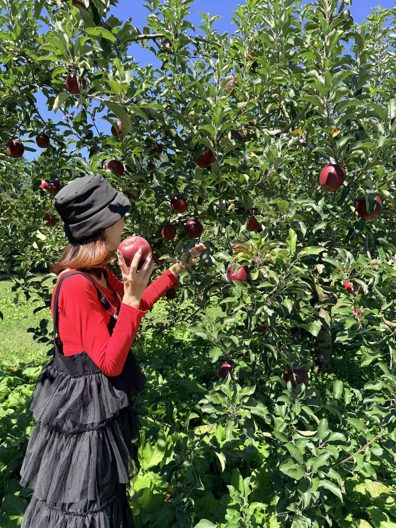 画像42: 自然に抱かれて“何もしない贅沢”♡群馬の隠れ宿「shin 猿ヶ京」で叶えるゆるっと心ほどけるご褒美旅