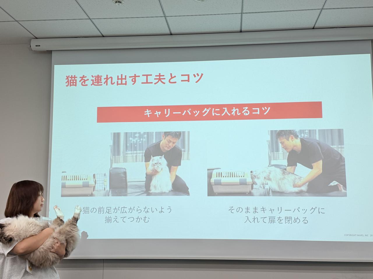 画像: 「ただの高齢化」と決めつけない日常観察