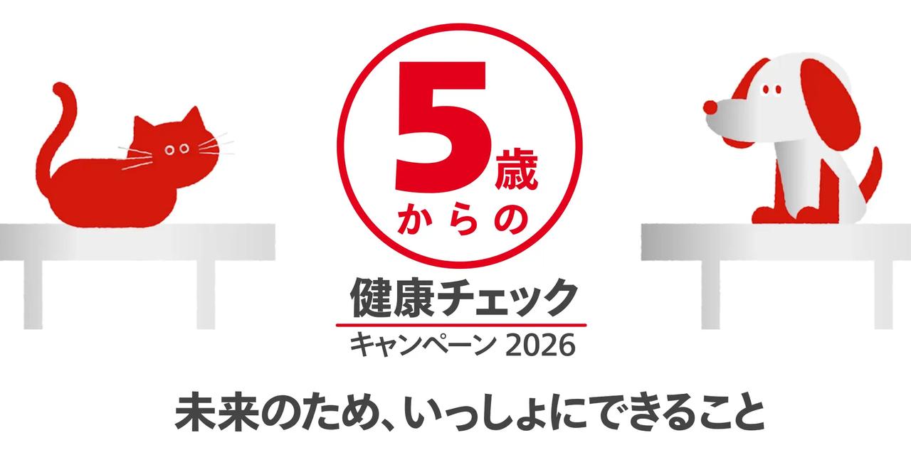 画像: 「5歳からの健康チェックキャンペーン2026」