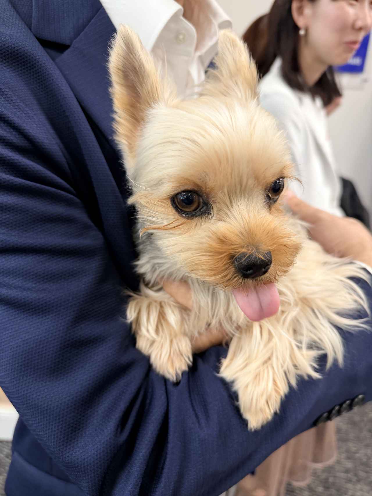 画像2: 「元気そうだから大丈夫」はNG?愛犬・愛猫と「元気に長生き」を目指すヘルシーエイジング習慣