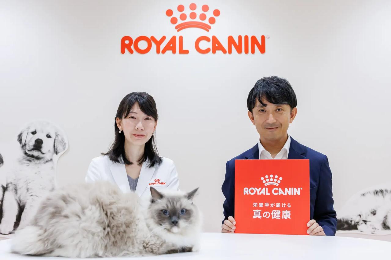 画像: 愛犬・愛猫の未来を守る!今すぐ始めたい3つのアクション