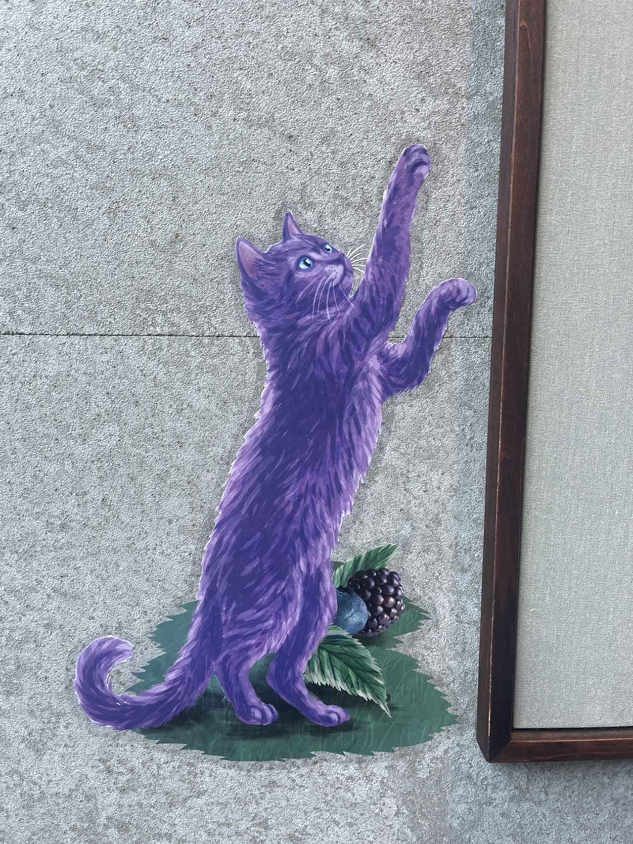 画像: 実際に見つけたパープルキャット