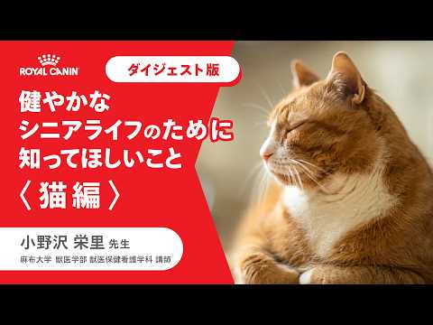 画像: 【専門家が解説】健やかなシニアライフのために 知ってほしいこと〈猫編〉ダイジェスト版 www.youtube.com