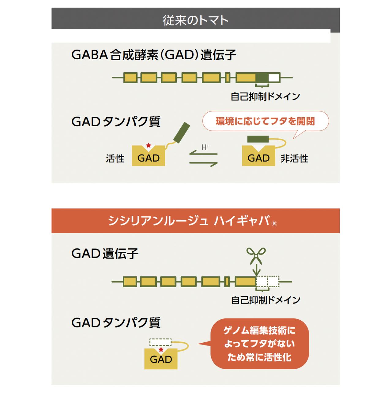 画像1: 睡眠の質もお肌の弾力も!1缶で嬉しい「4つの機能性」をギュッと凝縮